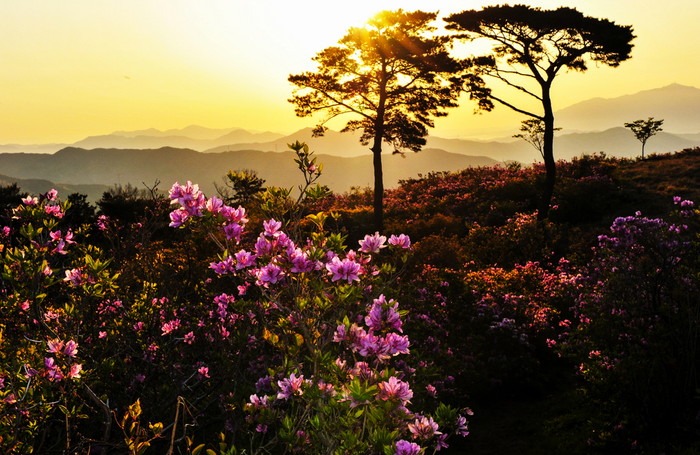 고한상 作 ‘국사봉’