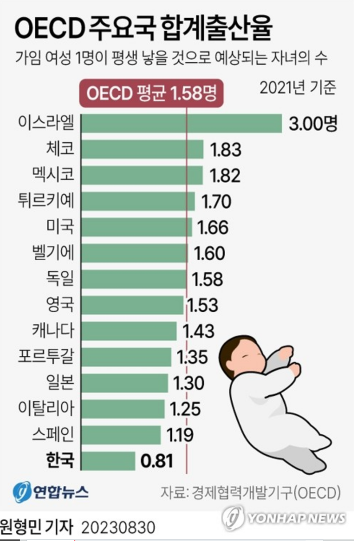(그래프=연합뉴스)