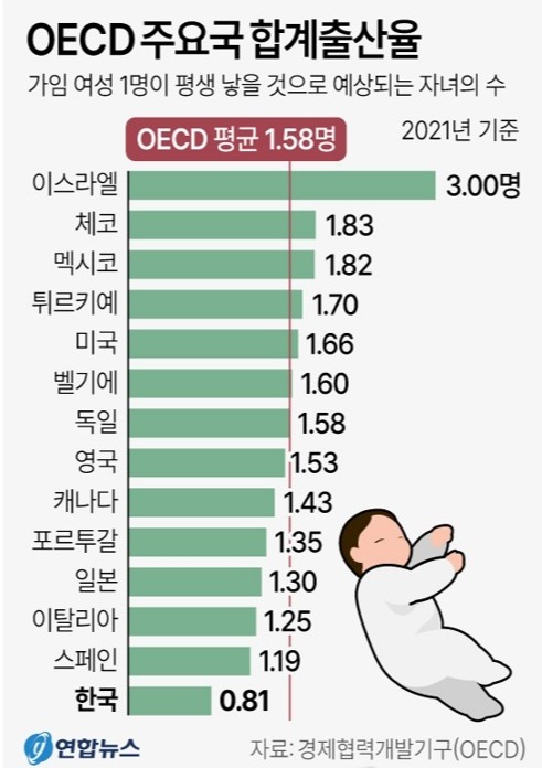 (그래픽=연합뉴스)