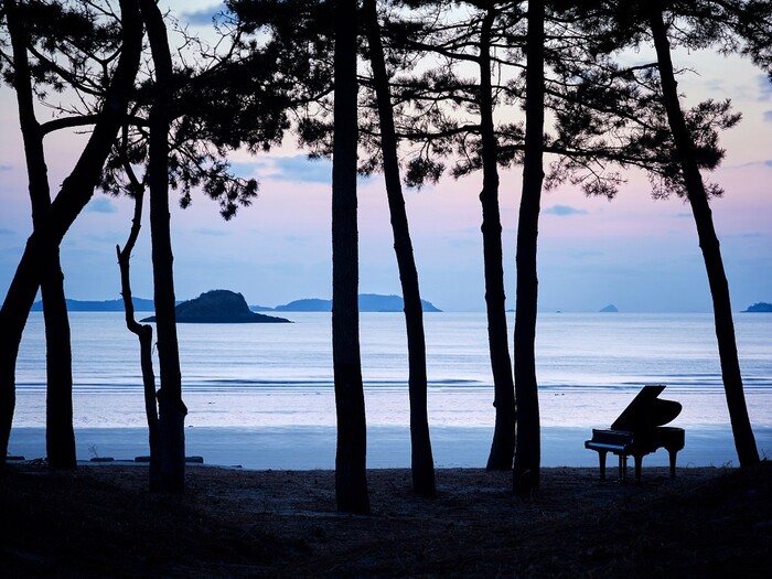 신안군이 전국 최초로 2023 대한민국 문화의 달 행사를 피아노의 섬 관내 자은도 섬 일원에서 개최한다.(사진=신안군)