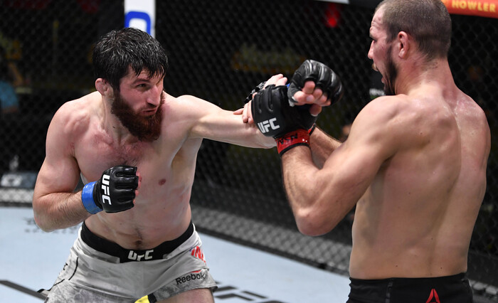[UFC] 안칼라예프 vs 워커, 메인이벤트서 격돌...“타이틀샷은 내꺼”