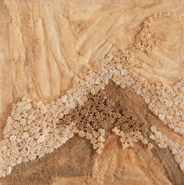 세종대 ‘세종뮤지엄갤러리’, 1월 17일부터 2월 4일까지 석은정 기획초대전 진행