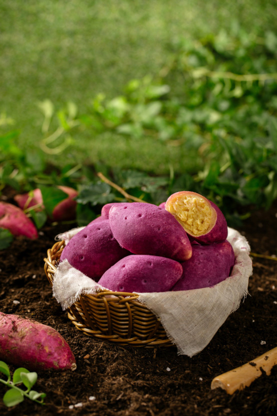 블러그 네이버 갈무리