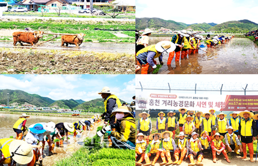 네이버 블러그 갈무리