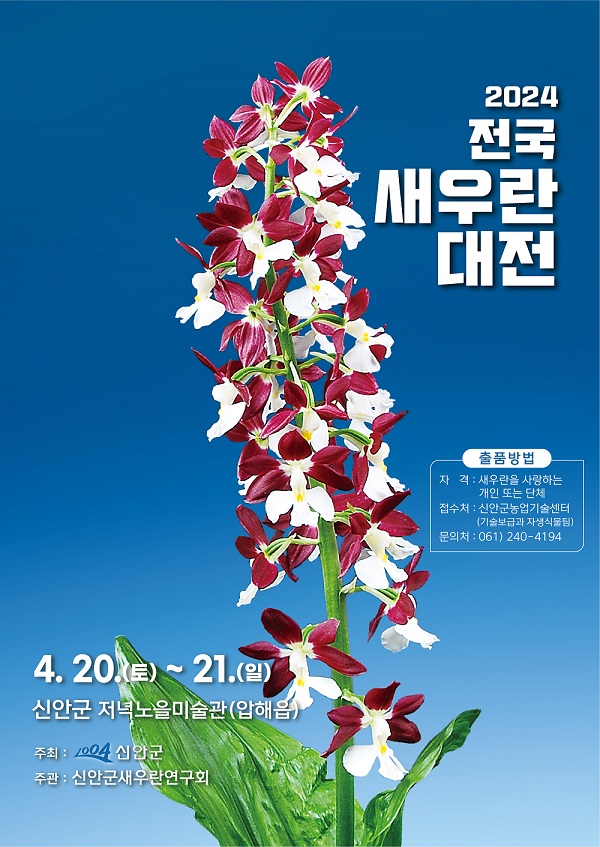 전남 신안군이 개최하는 2024 전국 새우란 축제 포스터.(사진=신안군)