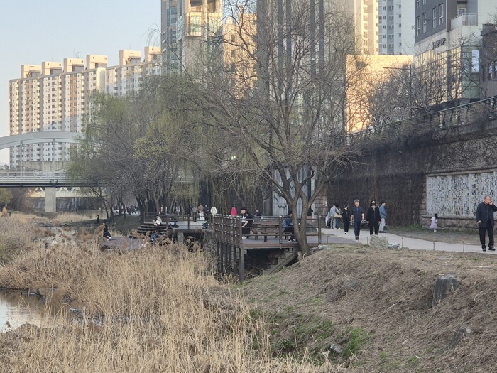 24일 서울 오후 시간 따뜻한 날씨로 많은 시민들이 활동하고 있다 ⓒ 뉴스프리존