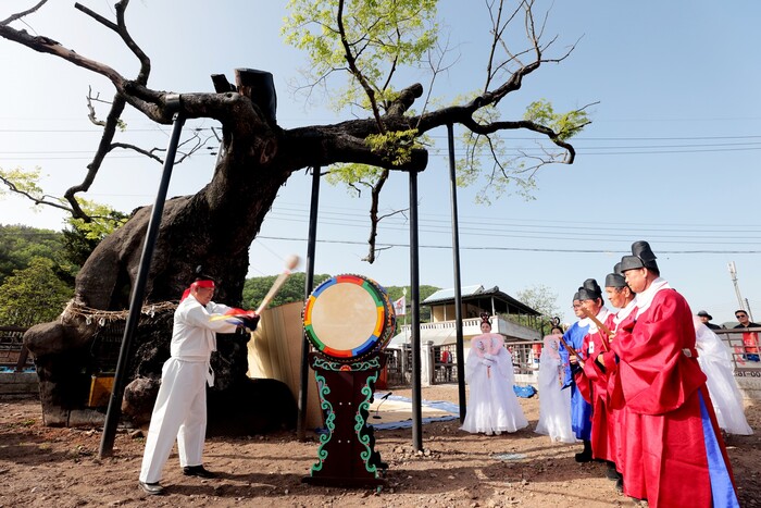 ‘제49회 의령홍의장군축제’ 세간리 현고수 혼불 채화식.(사진=의령군) 
