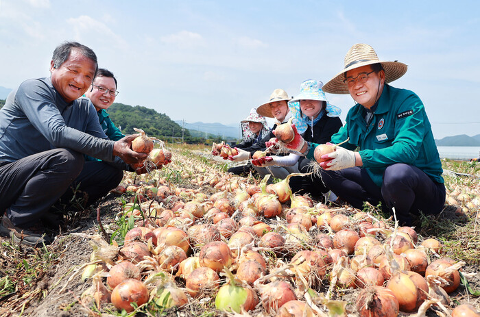 양파 수확 일손돕기 나선 진병영 함양군수.(사진=함양군)