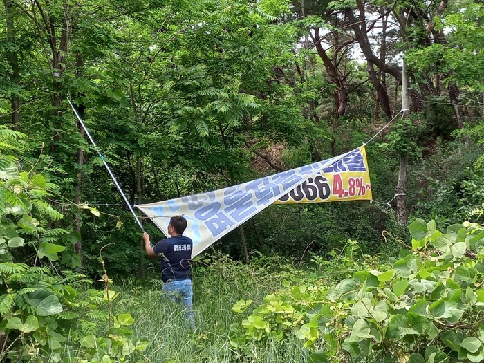불법 현수막 정비 수거.(사진=함양군) 