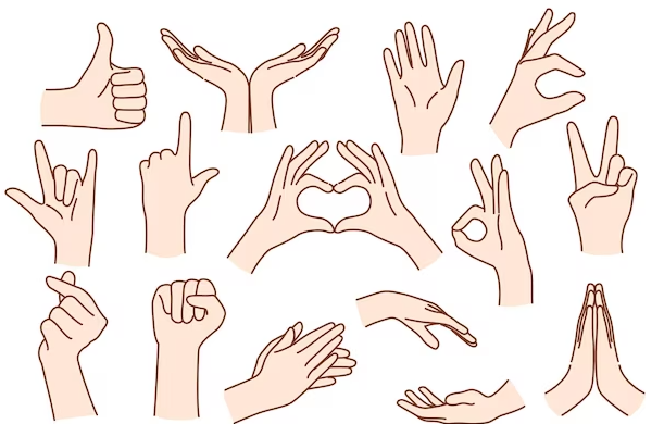 사진: 사람 손 세트는 생각과 감정을 표현하는 다양한 손 제스처를 보여준다. / 사진처럼 다섯 손가락을 가지런히 위로 모은 상태에서 손목을 살짝 흔들어 주면 '좋다' 라는 뜻이 된다. 그러면서 '좋다'라는 뜻의 터키어인 '규젤' 하고 말해주면 터키 사람들이 아주 좋아할것이다. 이게 그냥 좋다라는 의미 뿐만 아니라, 맛있다, 이쁘다, 좋다, 등등 뭔가 만족스럽고 좋은 것을 나타낼때 사용되는 손짓이다.