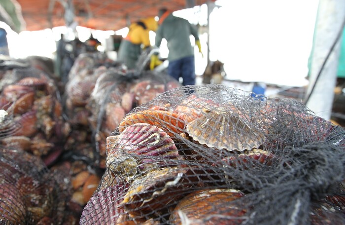 ‘가리비 양식어업 외국인 계절근로자 도입’ 행안부 적극행정 신규사례 선정.(사진=고성군)