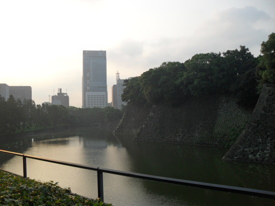 일본의 무더위에 동경모습 ⓒ블러그 갈무리