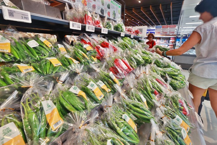 서울 시내 한 대형마트에 진열된 고추(사진=연합뉴스)