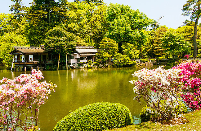 일본 정원 정원모습