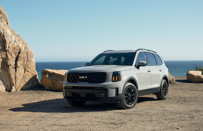 7년 연속 TSP+ 또는 TSP 등급을 받은 기아 텔루라이드. (사진=현대차그룹 제공)