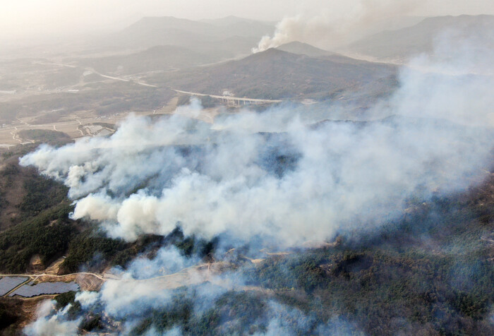 경북 의성군 산불 발생 나흘째인 25일 의성군 안계면 안정리 일대에서 산불이 강한 바람을 타고 인근 야산으로 번지고 있다. (사진=연합뉴스)