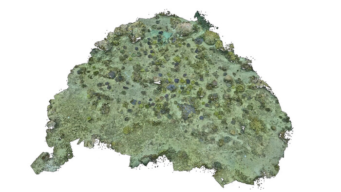 '코랄 인 포커스' 프로젝트로 모니터링한 사진을 활용해 제작한 3D 산호초 복원도. (사진=삼성전자 제공)