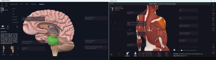 서울사이버대 웰니스건강대학 3D 해부학 특강 중 자료 이미지(사진=서울사이버대 제공)