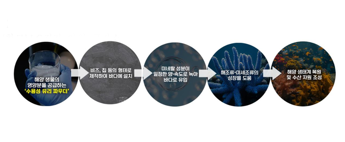 마린 글라스의 해양 생태계 복원 공정. (그래픽=LG전자 제공)