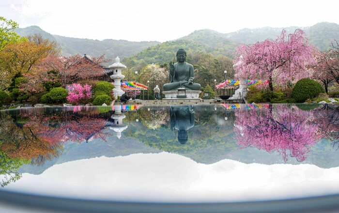 충남 6월 관광지, 전통·현대 조화 이룬 천안·서천 추천