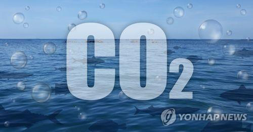 (그래픽=연합뉴스)