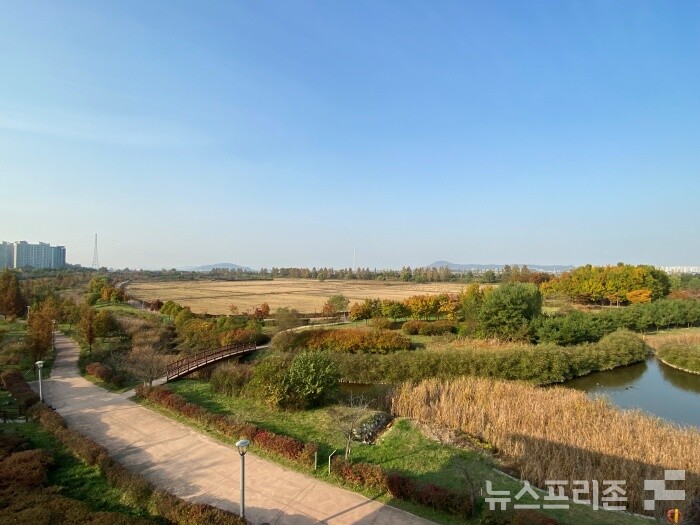 사업대상지 생태공원 현장사진./사진=김포시청