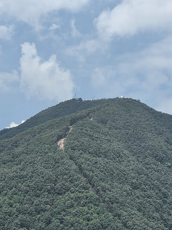 봉래산 정상을 오르던 등산로는 봉래산명소화 사업에 따라 폐쇄됐다. 이 등산로에 모로레일 선로가 설치된다. 이제 걸어서 봉래산을 오를 수 없다. 봉래산을 찾던 수많은 등산객들은 이제 더 이상 영월을 찾지 않을 것이다.