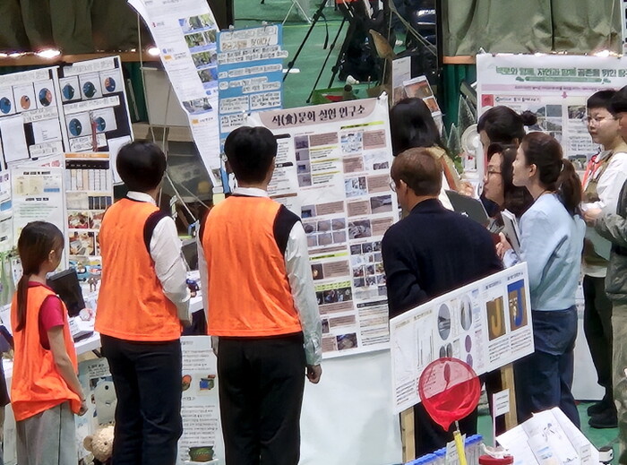 제주대교육대학부설초 학생들(사진제공=도교육청)