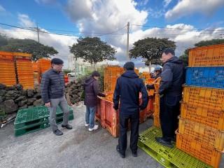 감귤 유통 합동단속(사진제공=서귀포시)