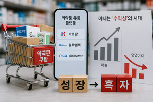 의약품 플랫폼 기업, '몸집 키우기'서 '수익성 확보' 경쟁 - 뉴스 썸네일 이미지